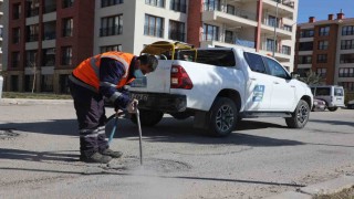 Elazığda larva üretiminin engellenmesi için çalışmalar sürüyor