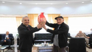 Elazığda tavla ve bocce etkinliği