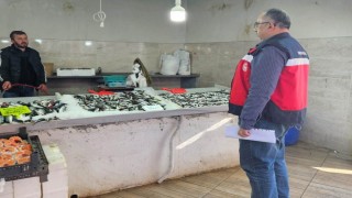 Emette balıkçılara yönelik denetim yapıldı
