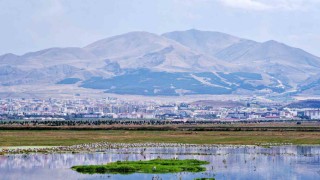 Erzurum ve Bakü petrol hattında 1921de kritik duraklama
