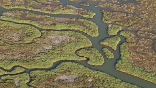 Gediz Nehri mercek altında