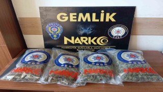 Gemlikte uyuşturucu tacirlerine operasyon