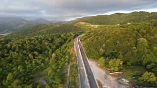 Googleda 3,5 milyon kez aranan Bolu Dağı tartışmasının altından bakın ne çıktı