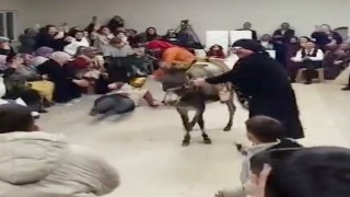 Gördeste ilginç ‘damat eğlencesi