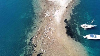 Gümüşlük koyunda sular çekildi, 3 bin 500 yıllık kral yolu ortaya çıktı
