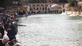 Güneş yüzünü gösterdi: Balıklıgöle ziyaretçi akını