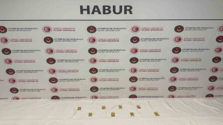 Haburda tırda yapılan aramada, yaklaşık 14.6 milyon liralık altın ele geçirildi