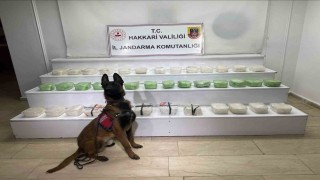 Hakkaride 43 kilo metamfetamin ele geçirildi