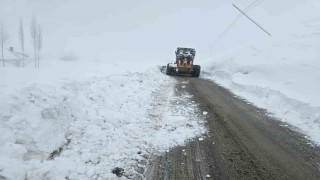 Hakkaride 61 yerleşim yerinin yolu kapandı