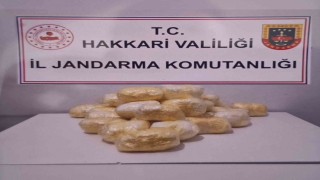 Hakkaride tırda 15 kilo 263 gram metamfetamin ele geçirildi