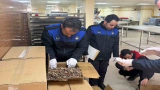 Haliliyede 180 kilogram küflenmiş ceviz ele geçirildi