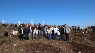 İyilik Kulübü, Yeşil Vatan için sahada