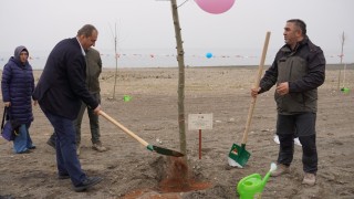 İznikte fidanlar toprakla buluştu