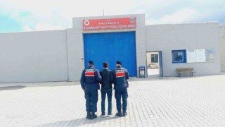 Jandarma çeşitli suçlardan aranan 55 kişiyi yakaladı