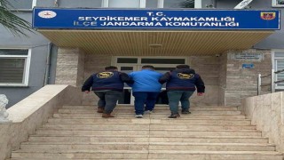 Jandarma sorumluluk bölgesinde bir ayda 123 tutuklama