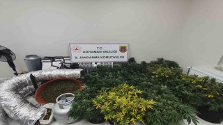 Jandarmadan uyuşturucu operasyonu: 1 gözaltı