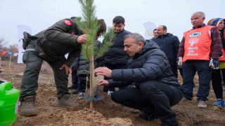 Karamanda 6 bin fidan toprakla buluşturuldu