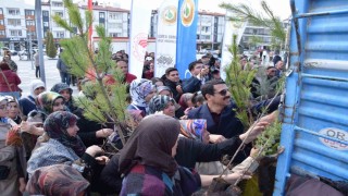 Karapınarda ağaçlandırma etkinliği