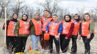 Karapınarda erozyon sahasına fidan dikildi