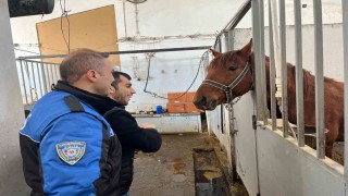 Karsta özel öğrenciler için anlamlı etkinlik