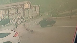 Kastamonuda lastiği fırlayan tarım aracı takla attı: 1 yaralı