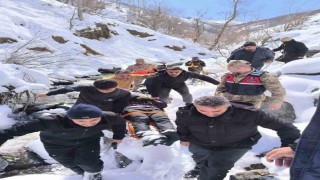 Kayıp vatandaş donmak üzereyken Hasköy dağlarında bulundu