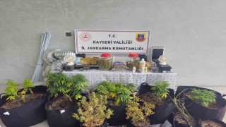 Kayseride evinde uyuşturucu yetiştiren şüpheli gözaltına alındı