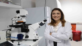 Kemik erimesinin tedavisinde uluslararası iş birliği