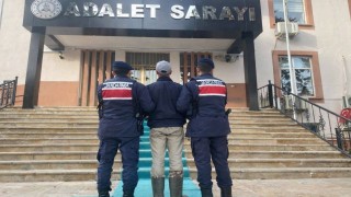 Kendisine saldıran köpeklerin sahibini vuran 17 yaşındaki şüpheli tutuklandı