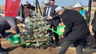 Kırklarelinde 3 bin 750 fidan dikildi