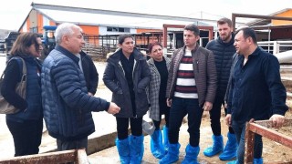 Kuraklık ile mücadele ve su kaynaklarının verimli kullanılması masaya yatırıldı