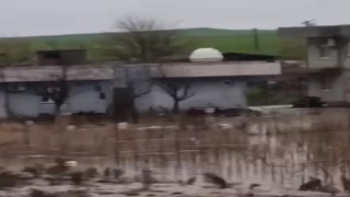 Kurtalanda sağanak yağış sele dönüştü