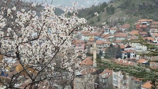 Kütahyada badem ağaçları çiçek açtı