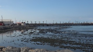 Kuvvetli fırtına sonrası İskenderun Körfezinde deniz suyu çekildi