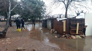 Mardinde su basan kümeste 5 tavuk telef oldu