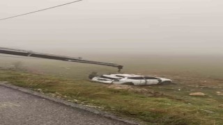 Mardinde yol kenarına devrilen otomobilin sürücüsü yaralandı