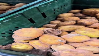 Market raflarında tarihi geçmiş tavuk ve içecek alarmı