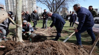 Melikgazide ilkbahar ağaç dikimiyle başladı