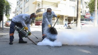 Mersin Büyükşehir Belediyesi kent genelinde haşereyle mücadeleyi sürdürüyor