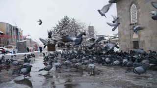 Meteorolojiden çığ, don ve buzlanma uyarısı