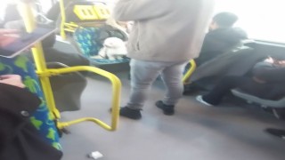 Metrobüste köpek koltukta oturdu, sosyal medyada tartışma başladı
