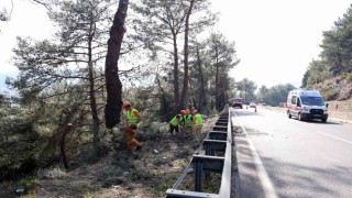 Muğlada yangın sezonu öncesi Sakar Geçidinde riskli dallar temizleniyor