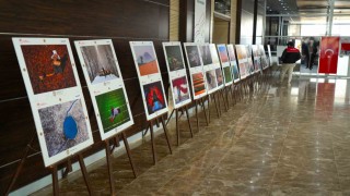 Muşta 15. Tarım Orman ve İnsan fotoğraf sergisi ziyarete açıldı