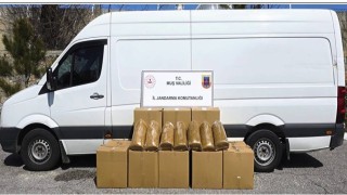 Muşta 260 kilogram bandrolsüz tütün ele geçirildi