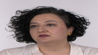 Okullarda Şiddet ve Akran Zorbalığı