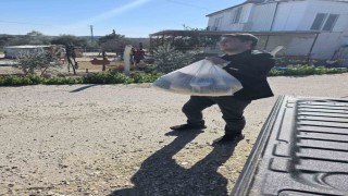 Onlarca aileye gıda kolisi dağıttı