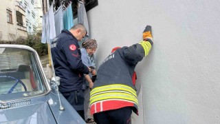 Orduda bodrum kattaki kedi sesi ekipleri harekete geçirdi