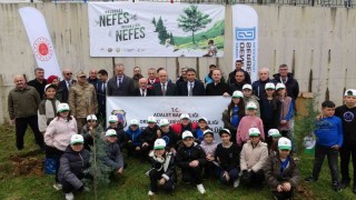 Orduda fidanlar topraklar buluşturuldu