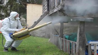 Orduda kahverengi kokarca ile kışlak mücadelesi: 330 bin noktadan 190 bini ilaçlandı