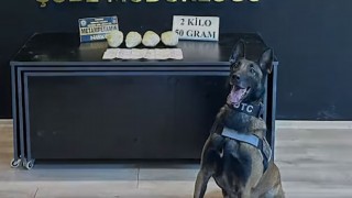 Osmaniye Emniyetinin Gururu Jardi Türkiye Birincisi Oldu